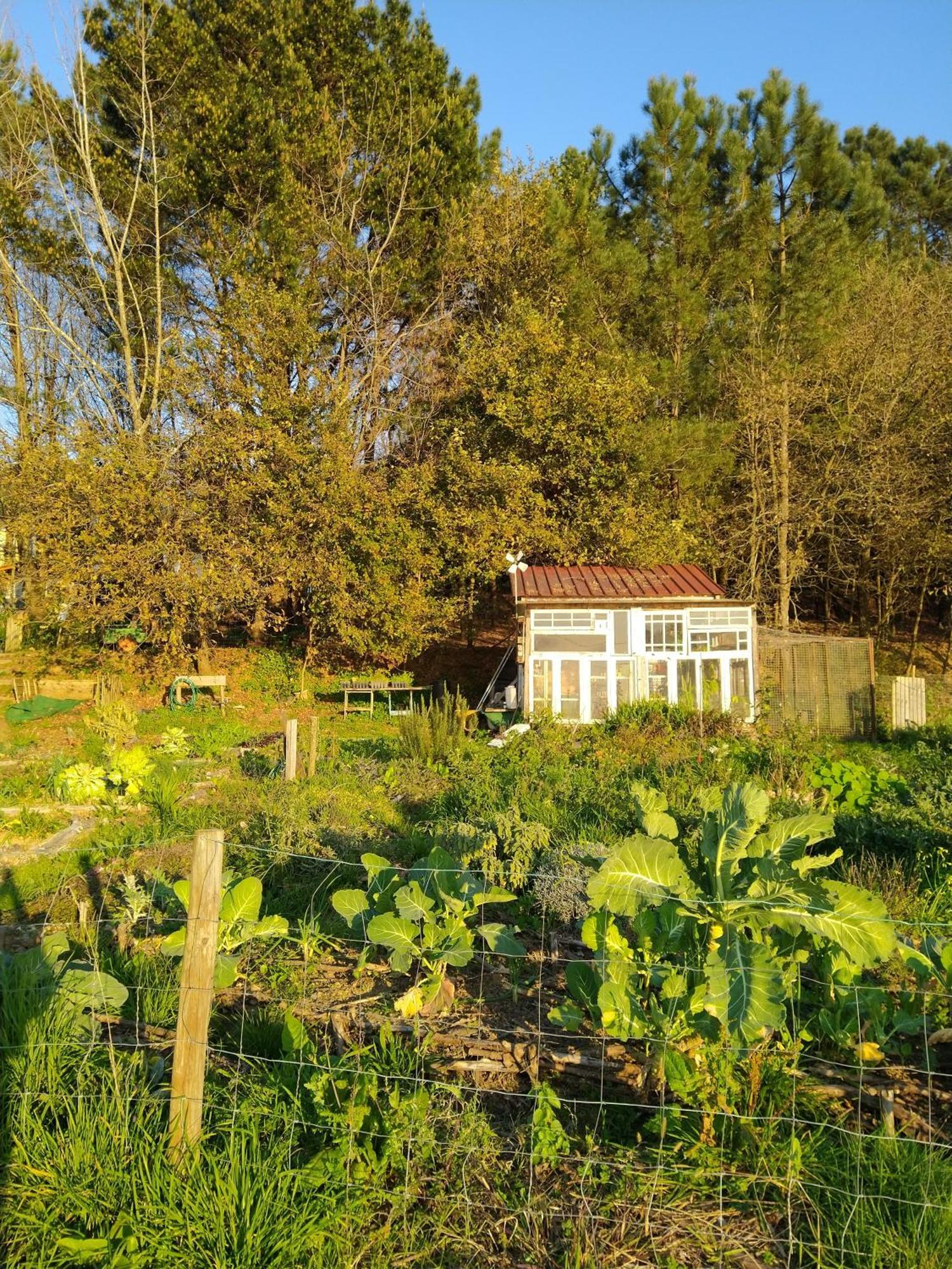 Associacao Quinta Das Relvas Branca Esterno foto