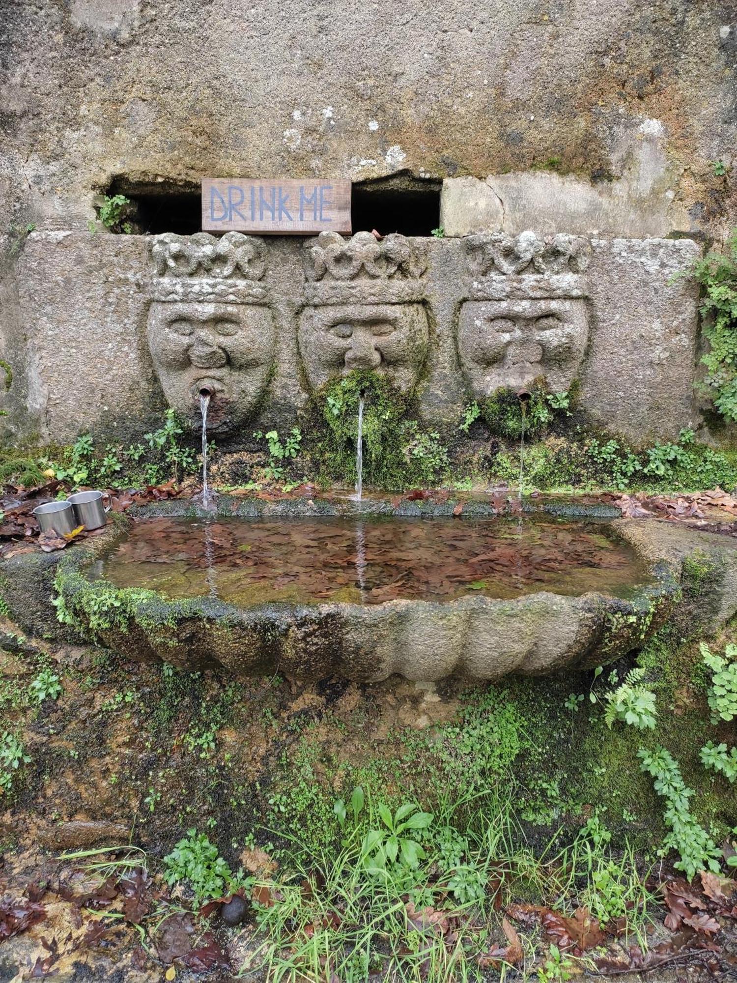 Associacao Quinta Das Relvas Branca Esterno foto