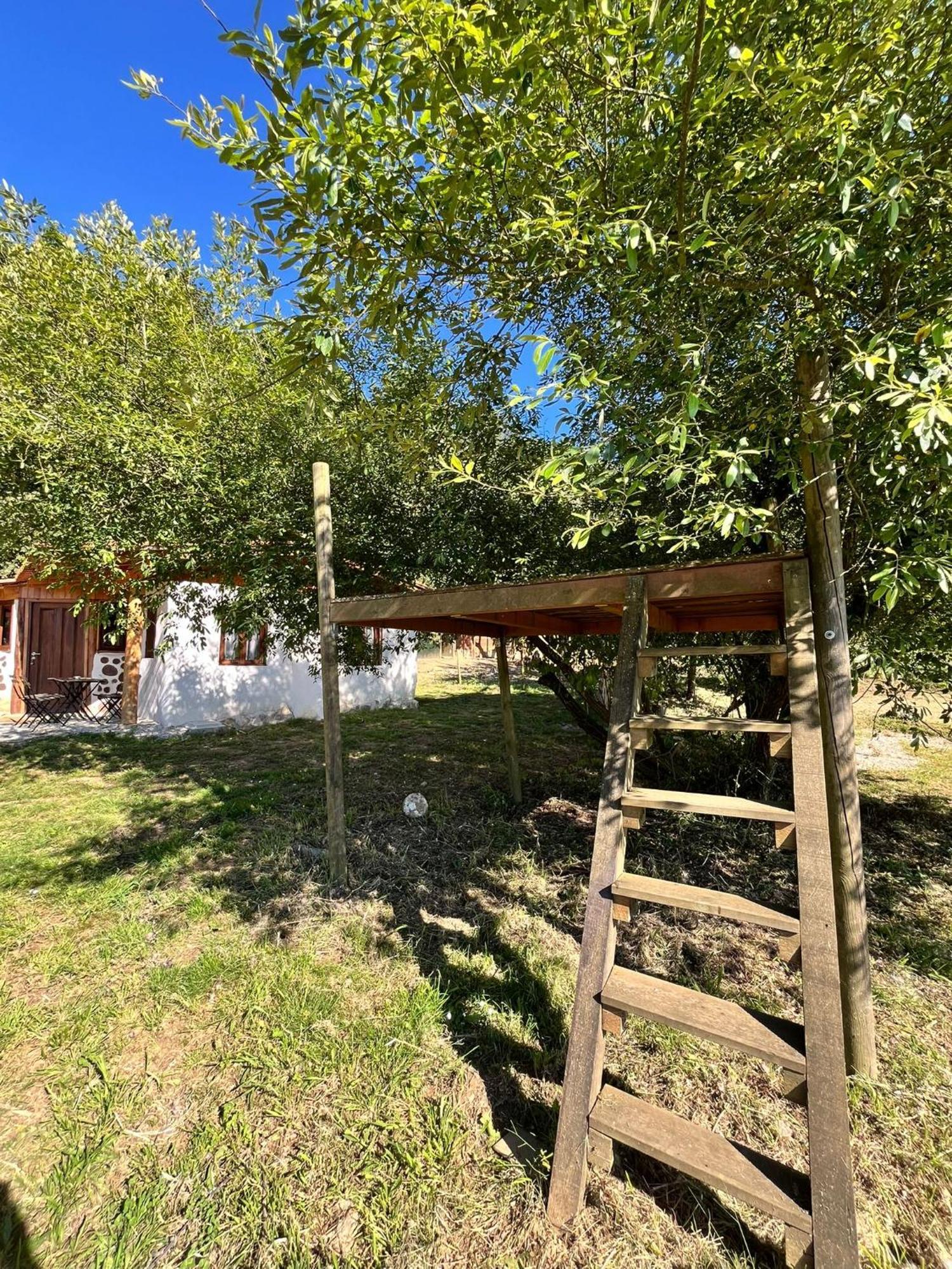 Associacao Quinta Das Relvas Branca Esterno foto
