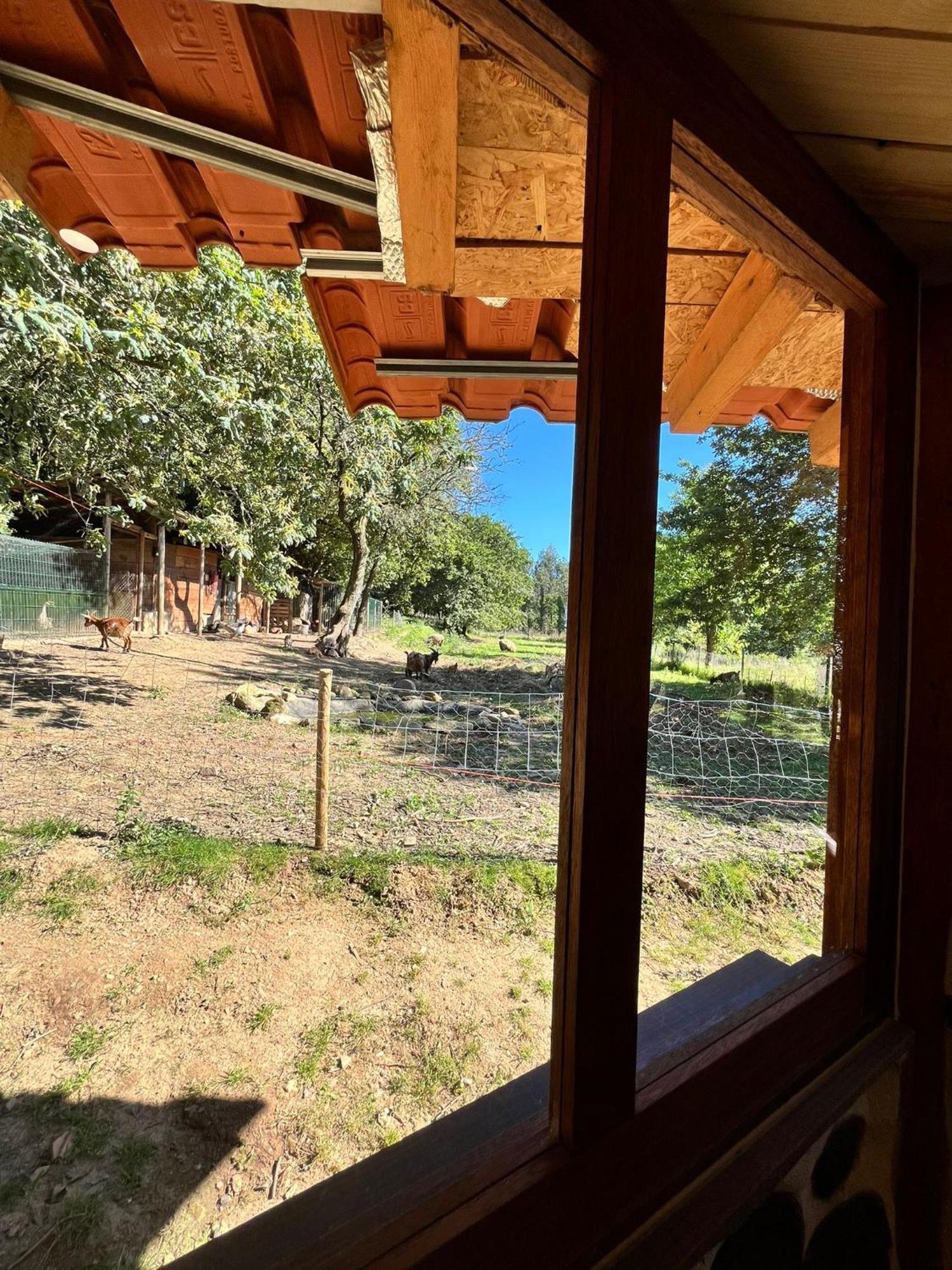 Associacao Quinta Das Relvas Branca Esterno foto